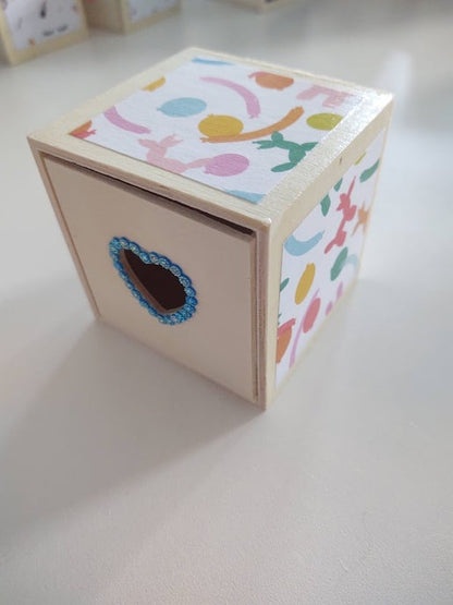 Adult Pacifier Storage Box Playtime